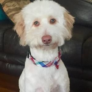 Meet your Posher, Sharon